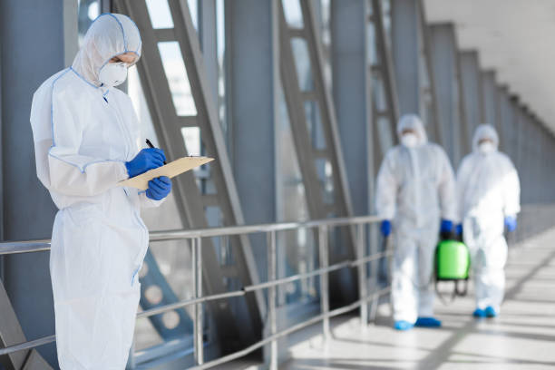 Best Black Mold Removal  in Kahaluu Keauhou, HI