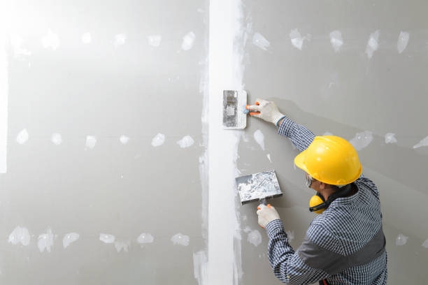 Best Real Estate Mold Inspection  in Kahaluu Keauhou, HI
