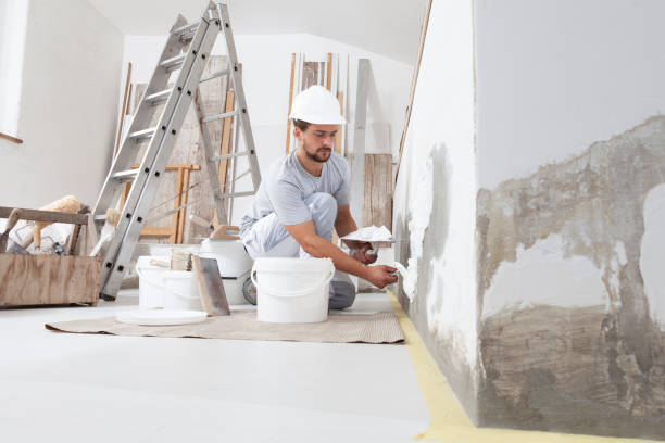 Best Asbestos and Lead Testing During Mold Inspection  in Kahaluu Keauhou, HI