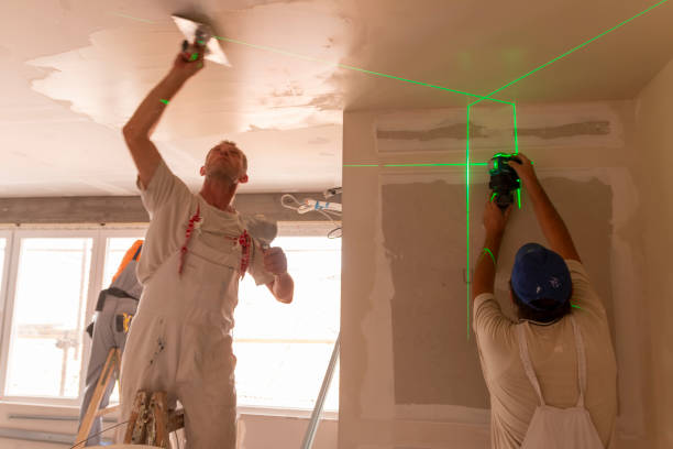 Best Basement Mold Removal  in Kahaluu Keauhou, HI